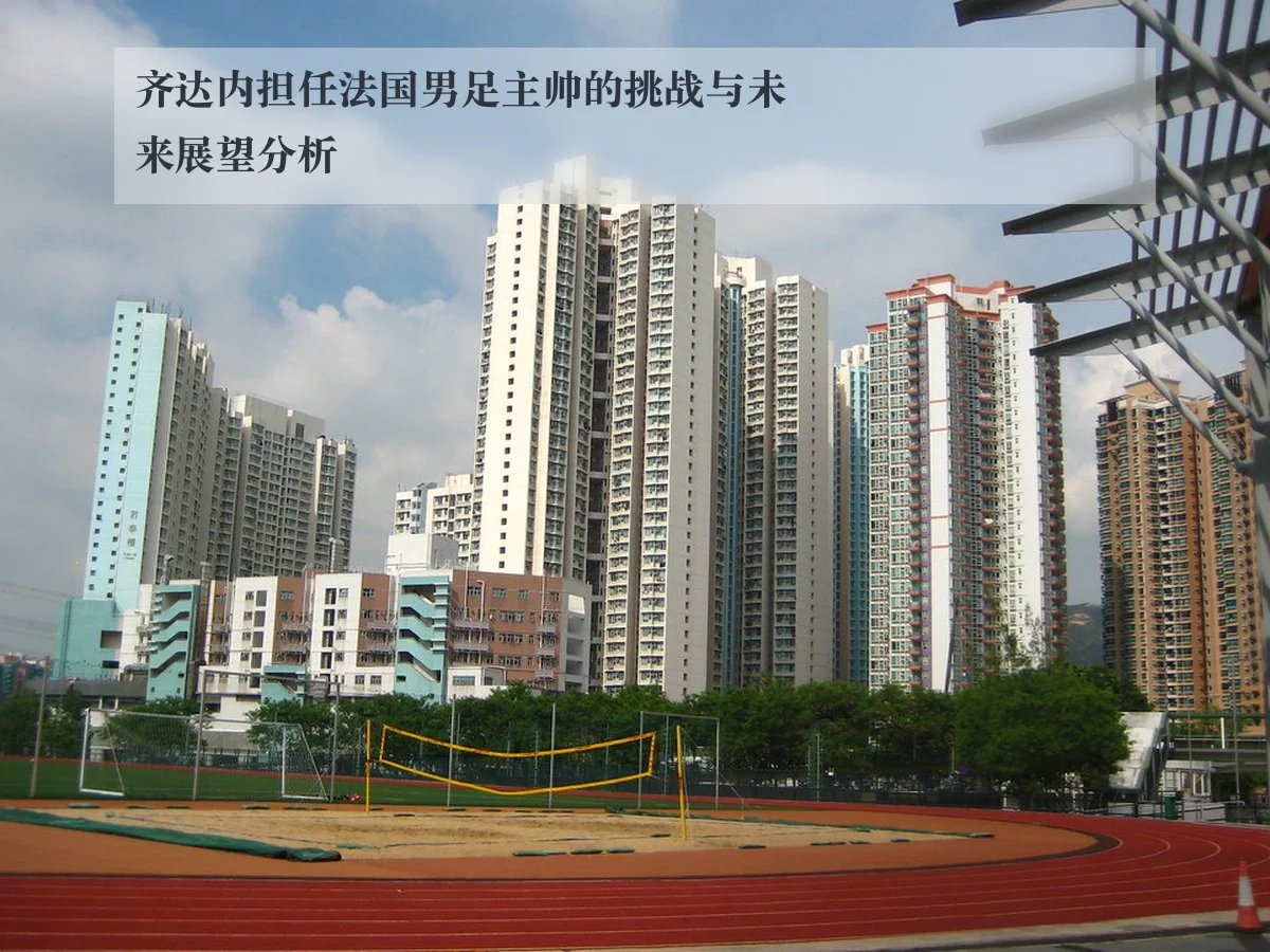 齐达内担任法国男足主帅的挑战与未来展望分析